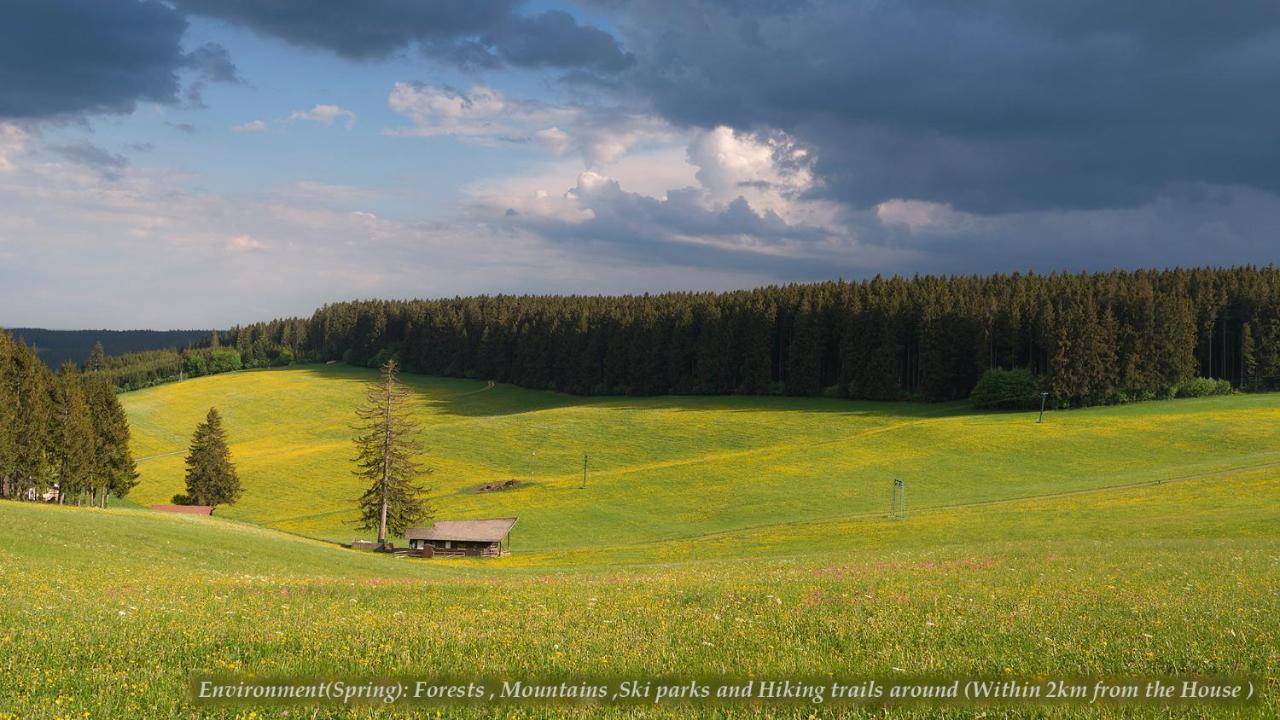 Entire House In Schwarzwald With Mountain View, Private Sauna, Gym, Garden And Terraces Unterkirnach Exterior photo