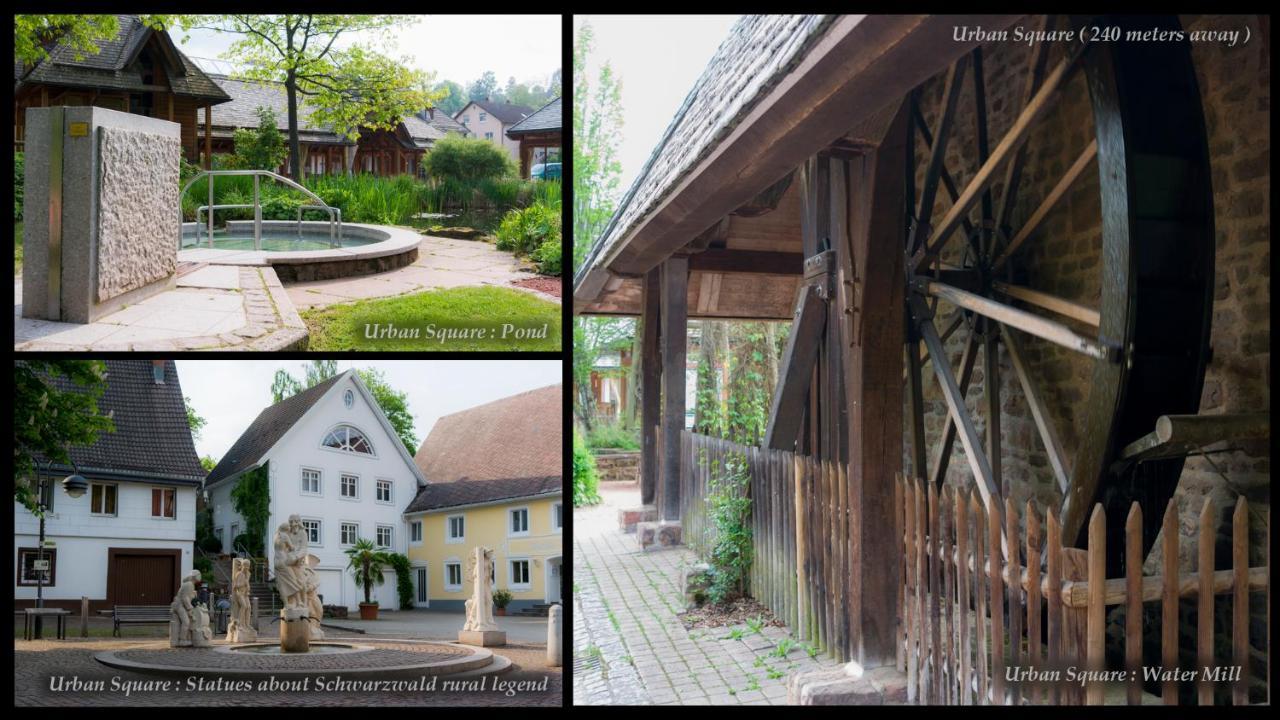 Entire House In Schwarzwald With Mountain View, Private Sauna, Gym, Garden And Terraces Unterkirnach Exterior photo