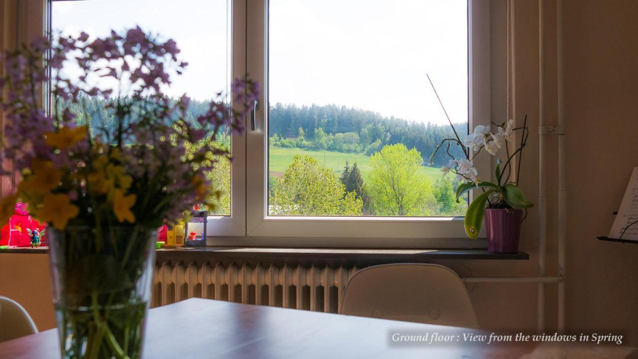 Entire House In Schwarzwald With Mountain View, Private Sauna, Gym, Garden And Terraces Unterkirnach Exterior photo